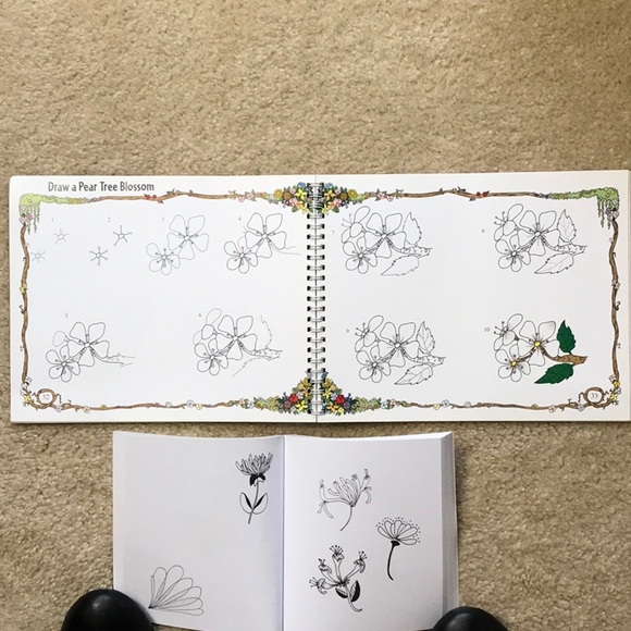 How to Draw Flowers books - Picture 3 of 3